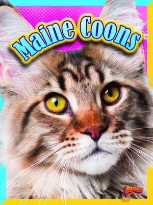 cover image of Maine Coons